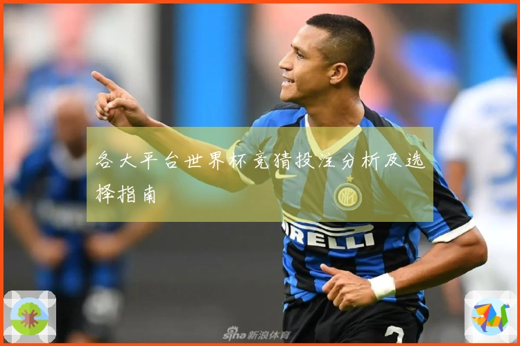 各大平台世界杯竞猜投注分析及选择指南