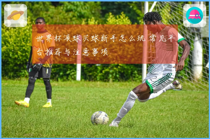 世界杯滚球买球新手怎么玩 常见平台推荐与注意事项