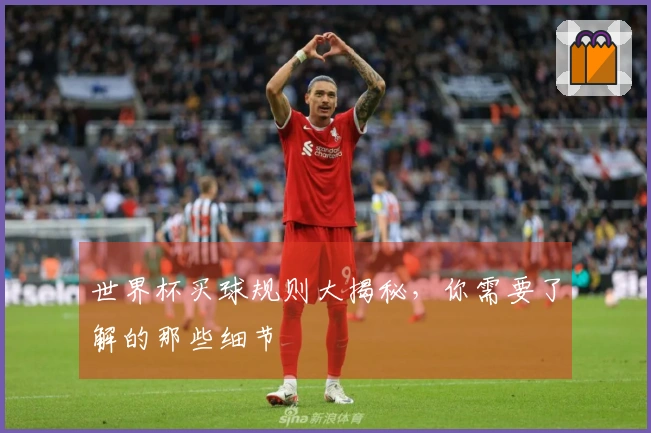 世界杯买球规则大揭秘，你需要了解的那些细节