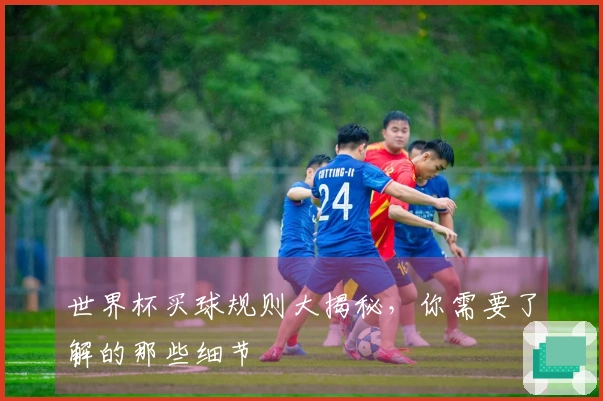 世界杯买球规则大揭秘，你需要了解的那些细节