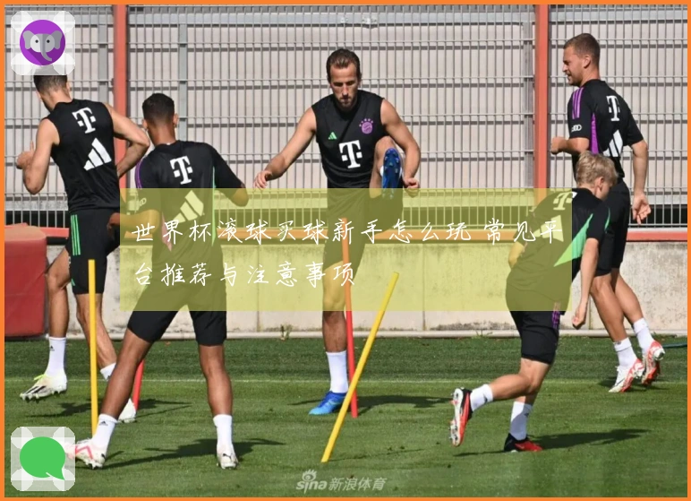 世界杯滚球买球新手怎么玩 常见平台推荐与注意事项