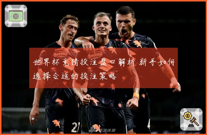 世界杯竞猜投注盘口解析 新手如何选择合适的投注策略