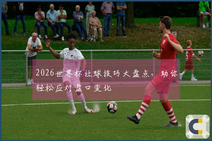 2026世界杯让球技巧大盘点，助你轻松应对盘口变化