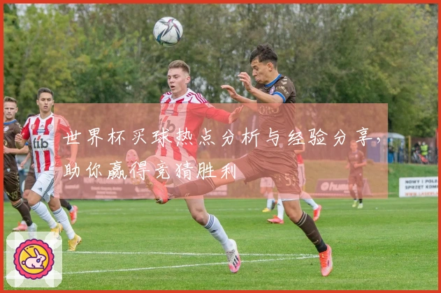 世界杯买球热点分析与经验分享，助你赢得竞猜胜利