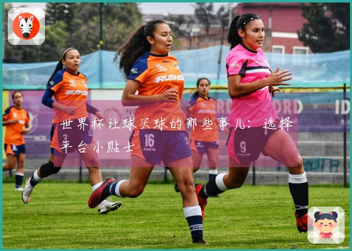 世界杯让球买球的那些事儿：选择平台小贴士