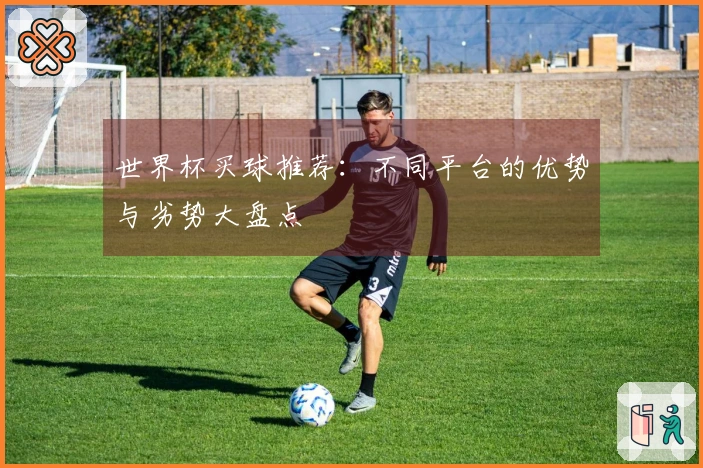 世界杯买球推荐：不同平台的优势与劣势大盘点