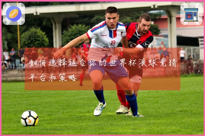如何选择适合你的世界杯滚球竞猜平台和策略
