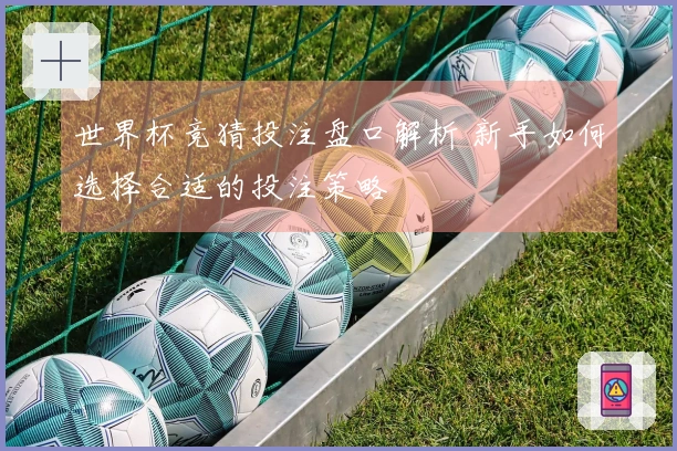 世界杯竞猜投注盘口解析 新手如何选择合适的投注策略