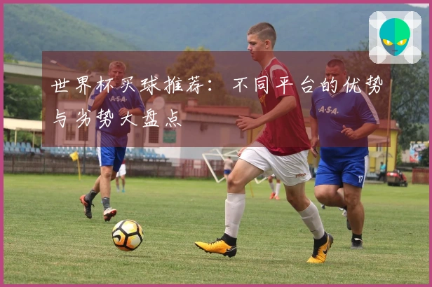 世界杯买球推荐：不同平台的优势与劣势大盘点
