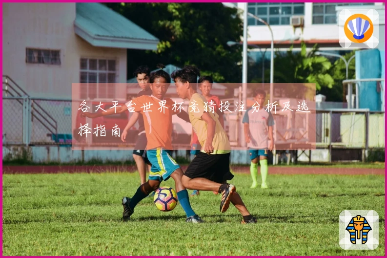 各大平台世界杯竞猜投注分析及选择指南