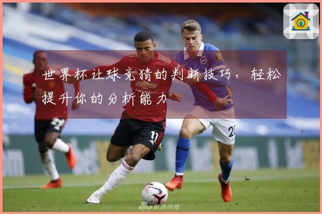 世界杯让球竞猜的判断技巧，轻松提升你的分析能力