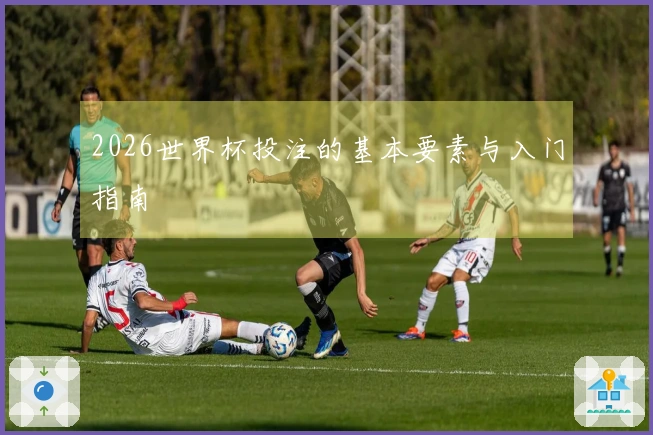 2026世界杯投注的基本要素与入门指南